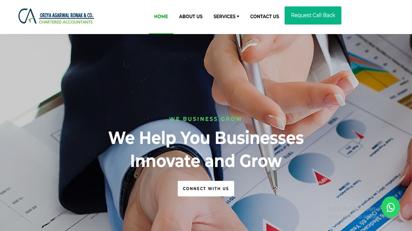 CA Firm Website